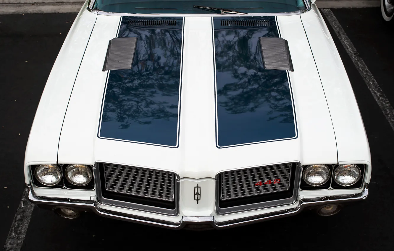 Photo wallpaper retro, the hood, muscle car, classic, Oldsmobile 442
