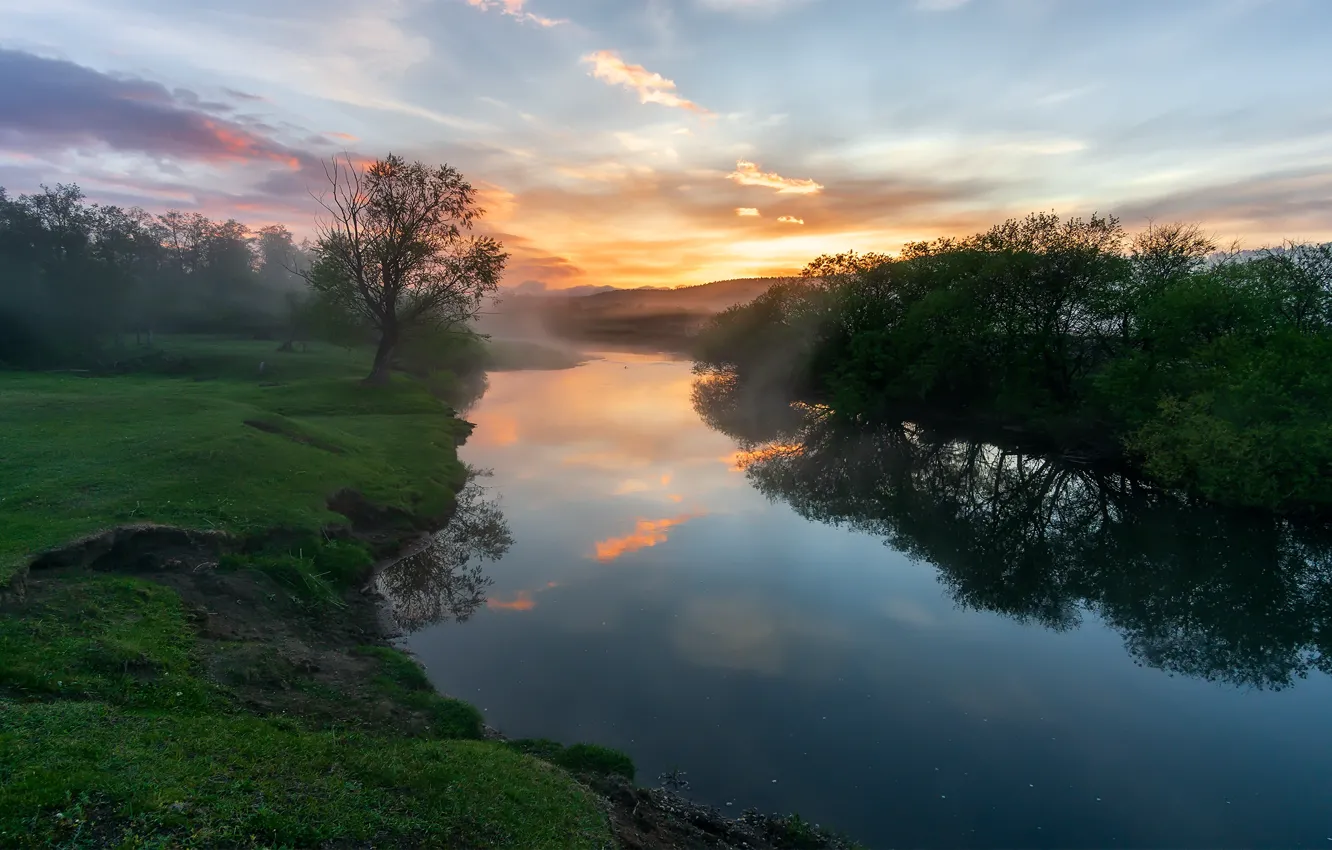 Photo wallpaper greens, forest, summer, the sky, grass, water, clouds, light
