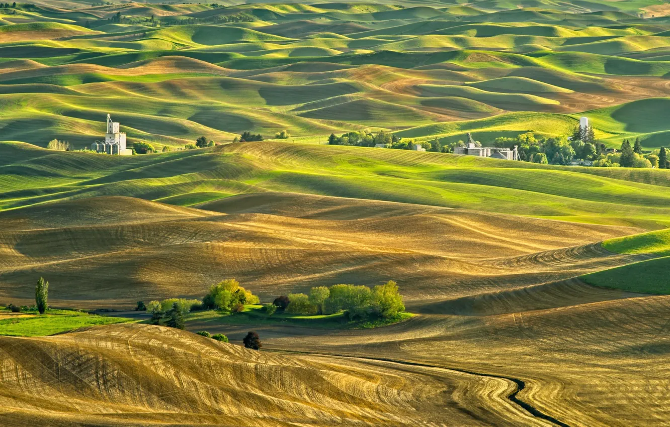 Photo wallpaper field, USA, Washington, hill, Steptoe