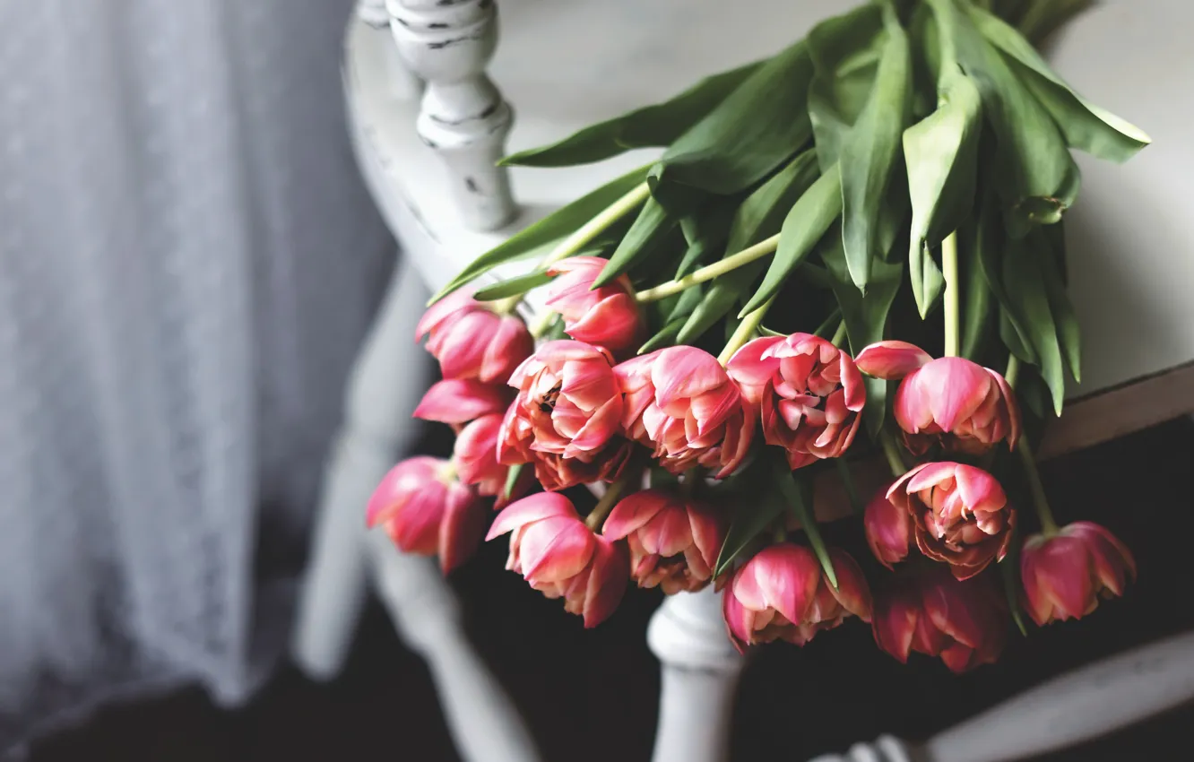 Photo wallpaper flowers, background, tulips