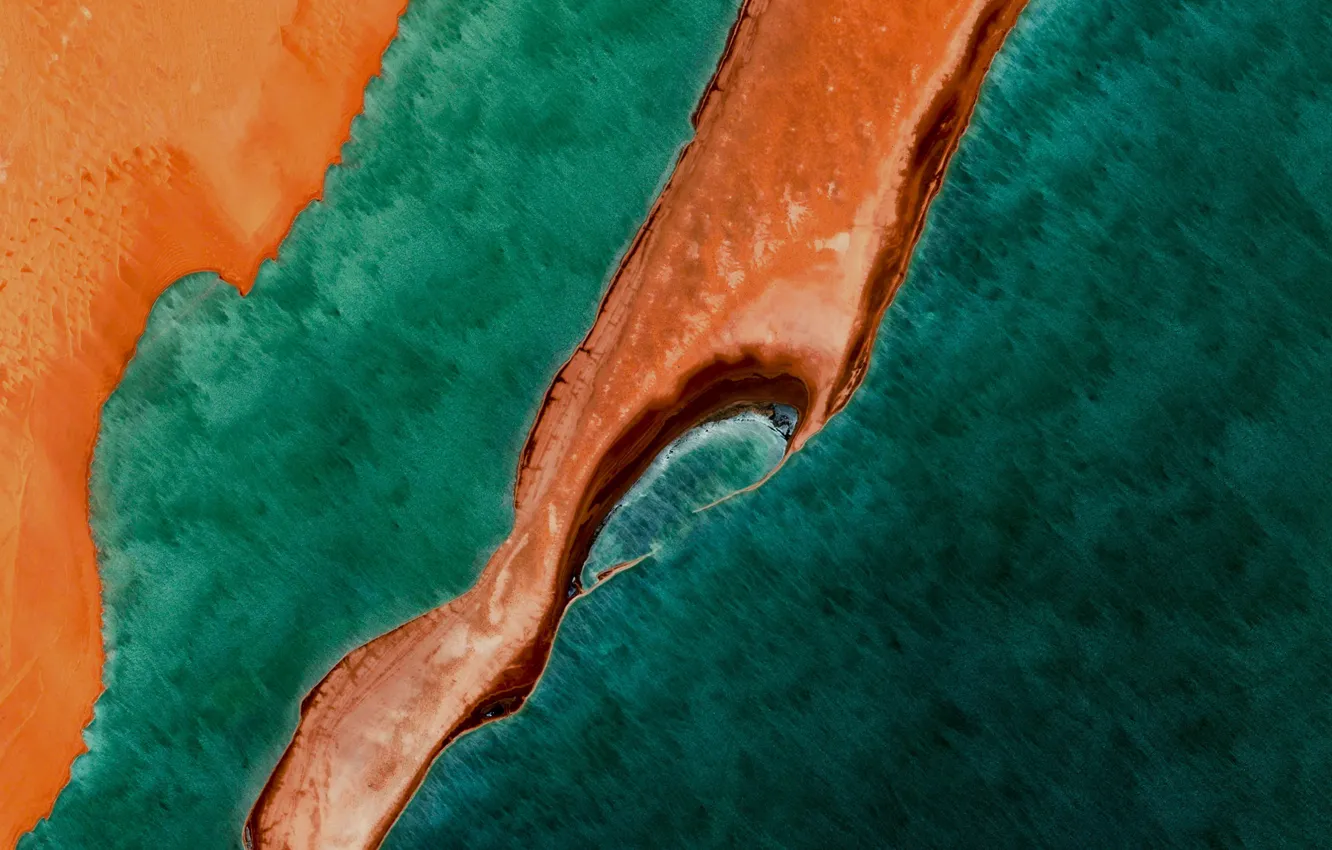 Photo wallpaper green, Android, Google, design, circles, 5.0, lines, Nexus