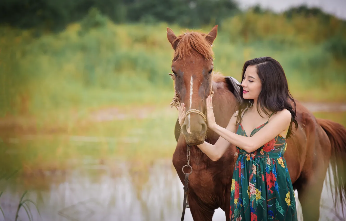 Photo wallpaper summer, face, horse, horse, Asian
