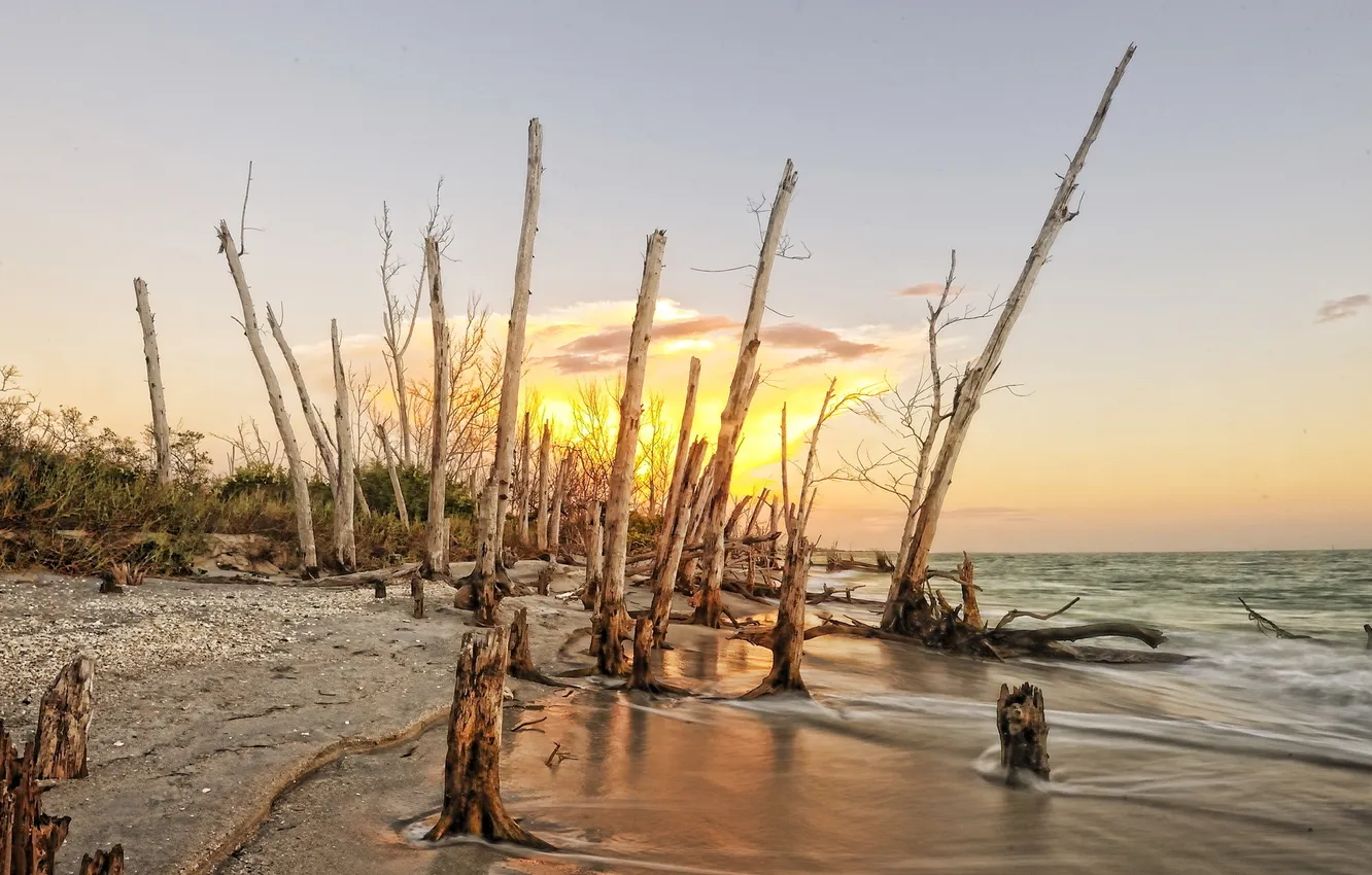 Photo wallpaper sea, landscape, sunset, shore