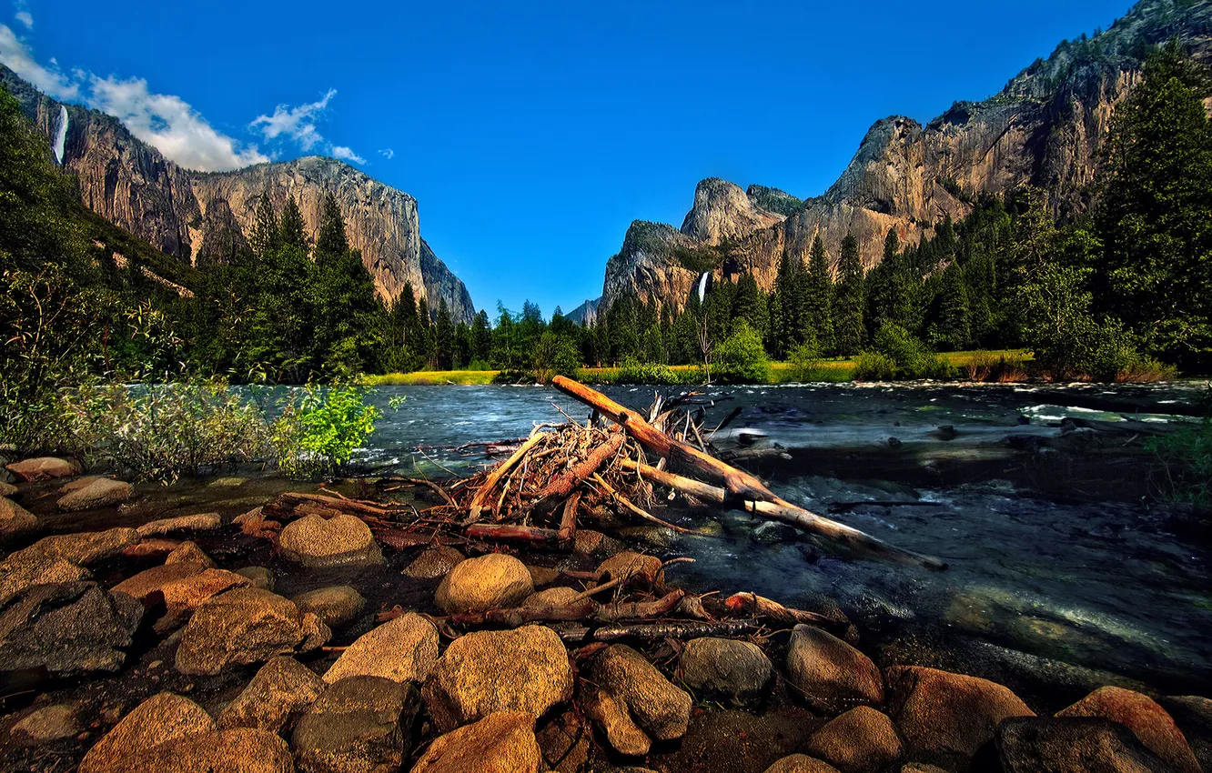 Photo wallpaper forest, mountains, nature, river, stones