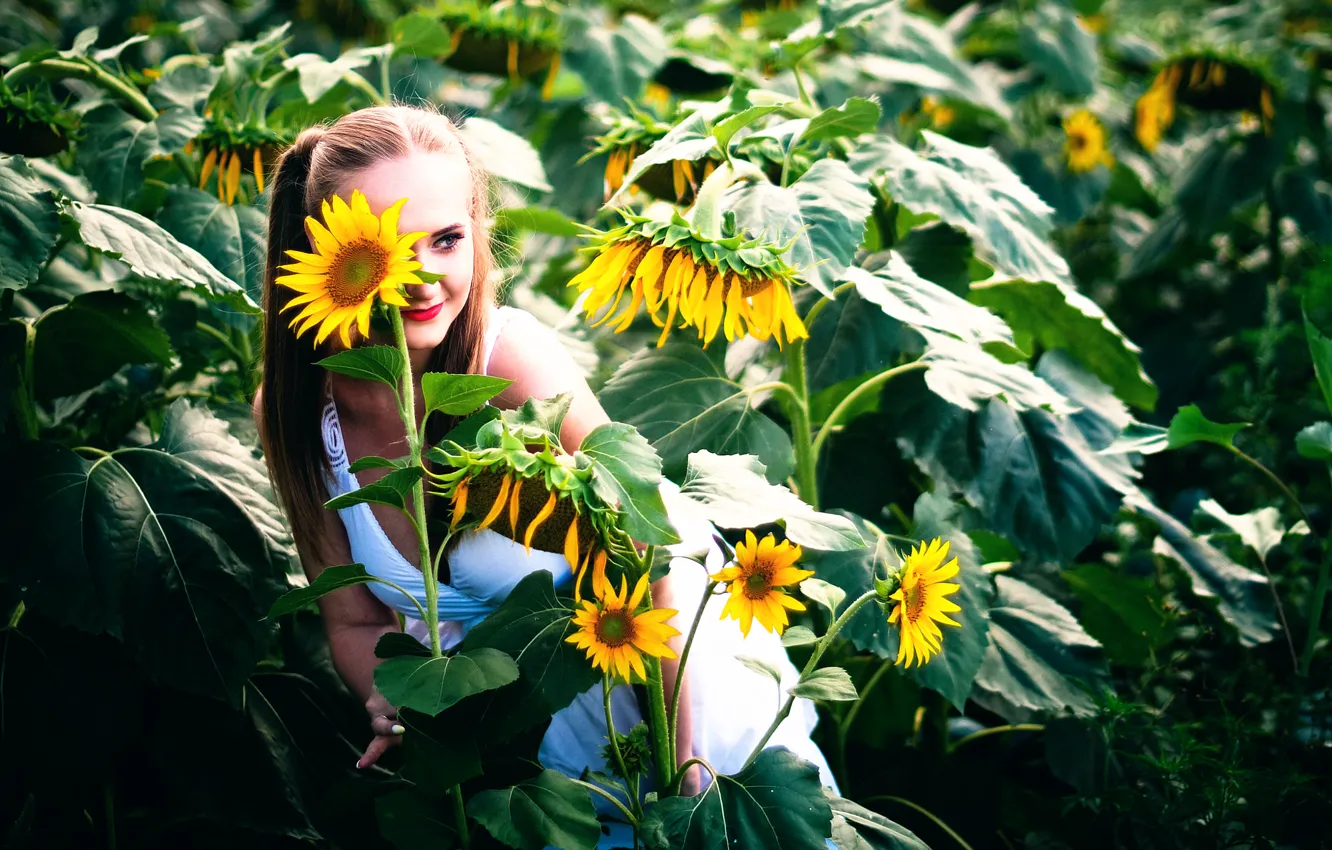 Photo wallpaper summer, girl, sunflowers, smile
