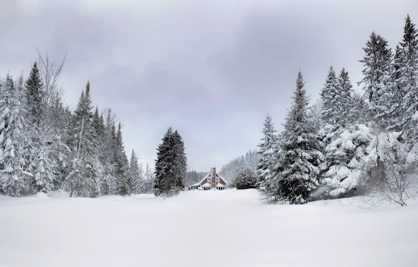 Photo wallpaper winter, forest, snow, home, ate, the snow, house