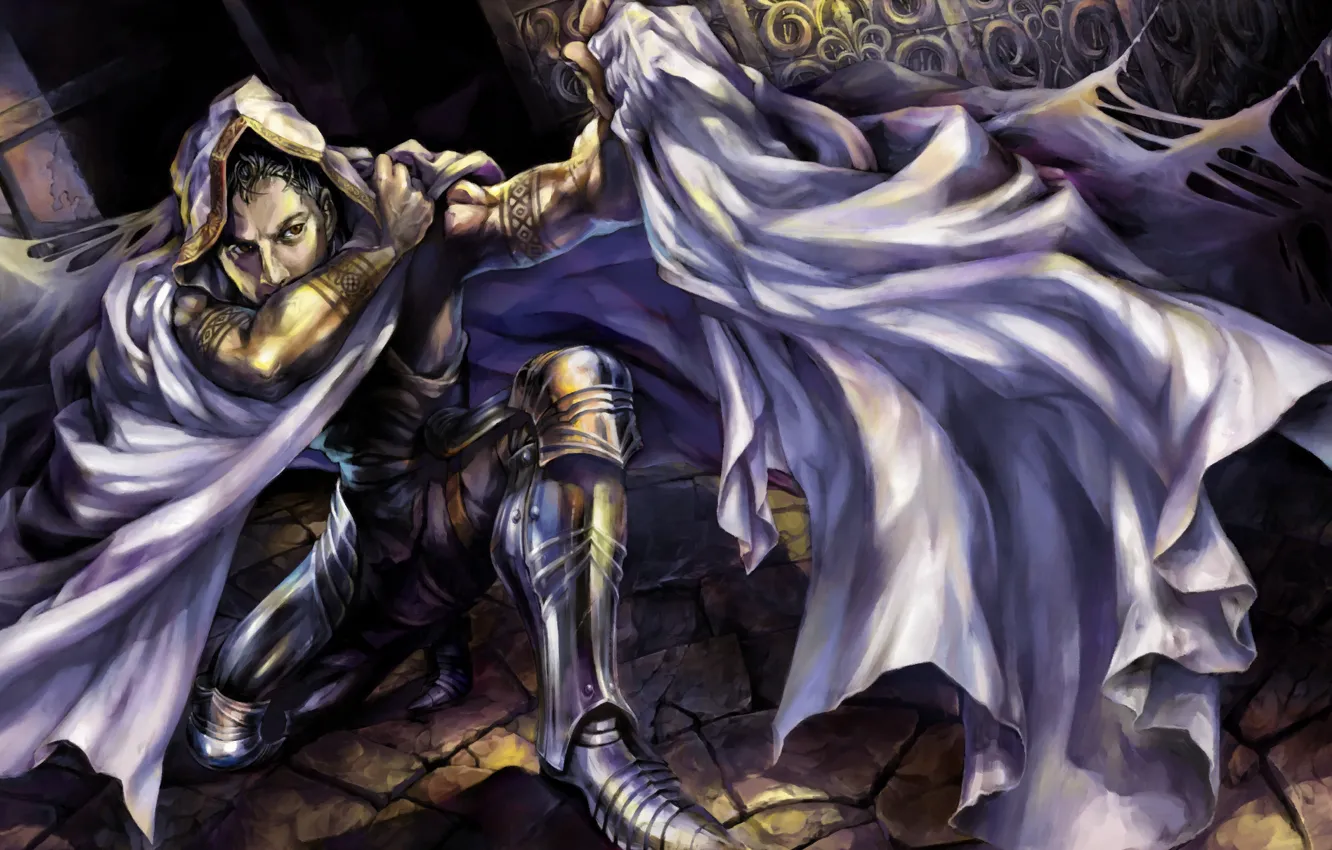 Photo wallpaper men, pose, warrior, Dragon's Crown