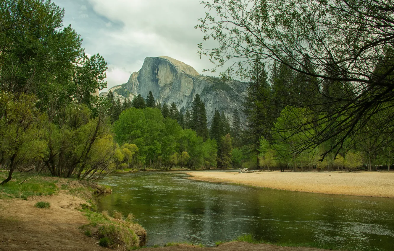 Photo wallpaper forest, landscape, mountains, river