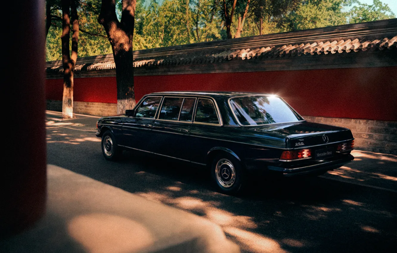 Photo wallpaper Mercedes-Benz, Mercedes, E-Class, E-Class, Mercedes-Benz 250 Limousine, V123