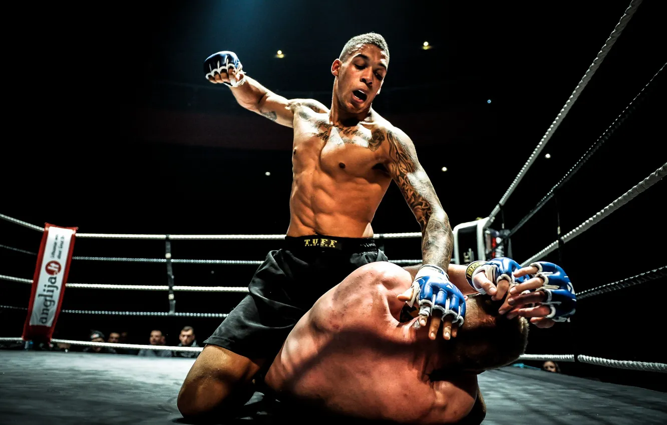 Photo wallpaper fight, mma, ground