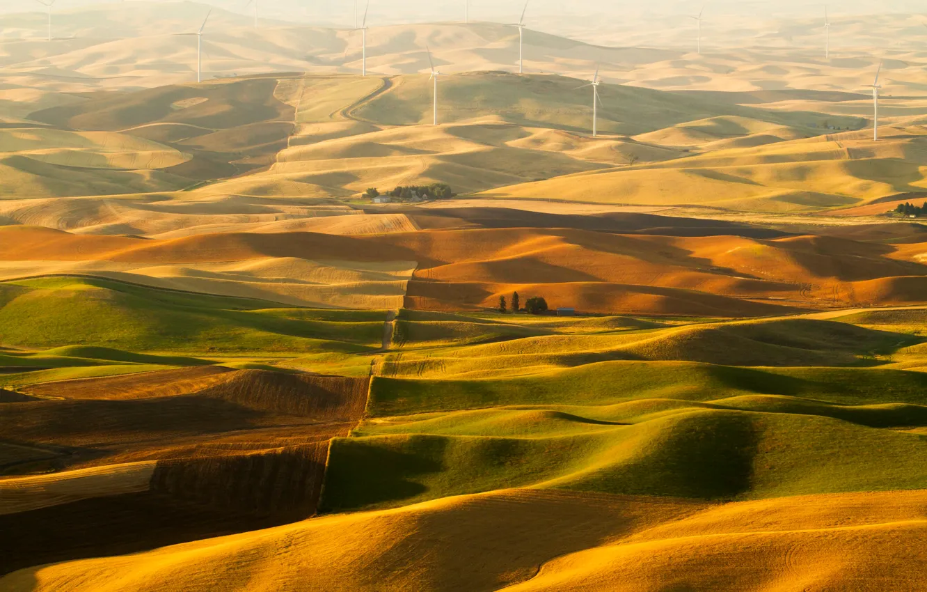 Photo wallpaper field, trees, dawn, hills, morning, windmill, wind power