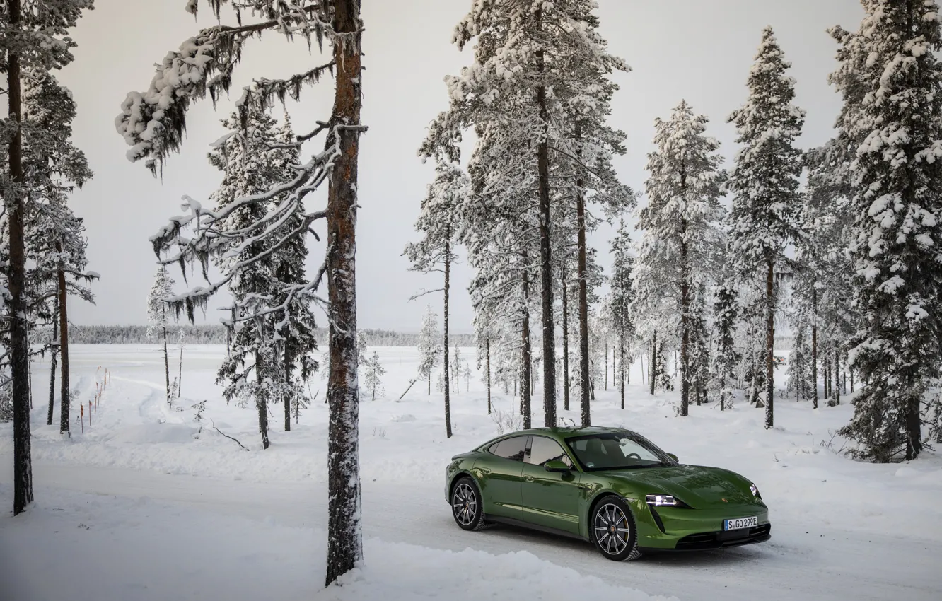 Photo wallpaper snow, trees, Porsche, green, coniferous, 2020, Taycan, Taycan 4S