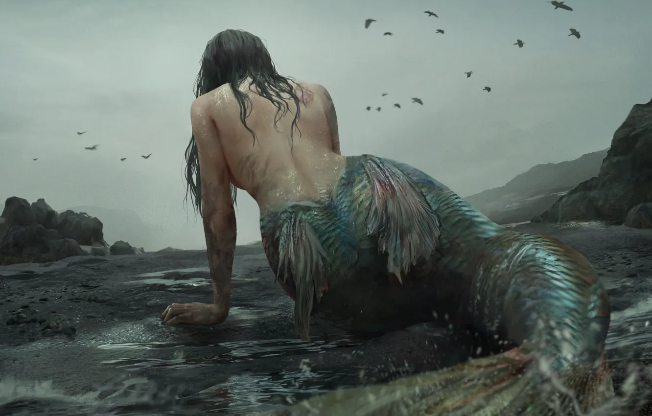 Photo wallpaper mermaid, monster, scales, fin, mermaid, cloudy sky, dark place, black crows