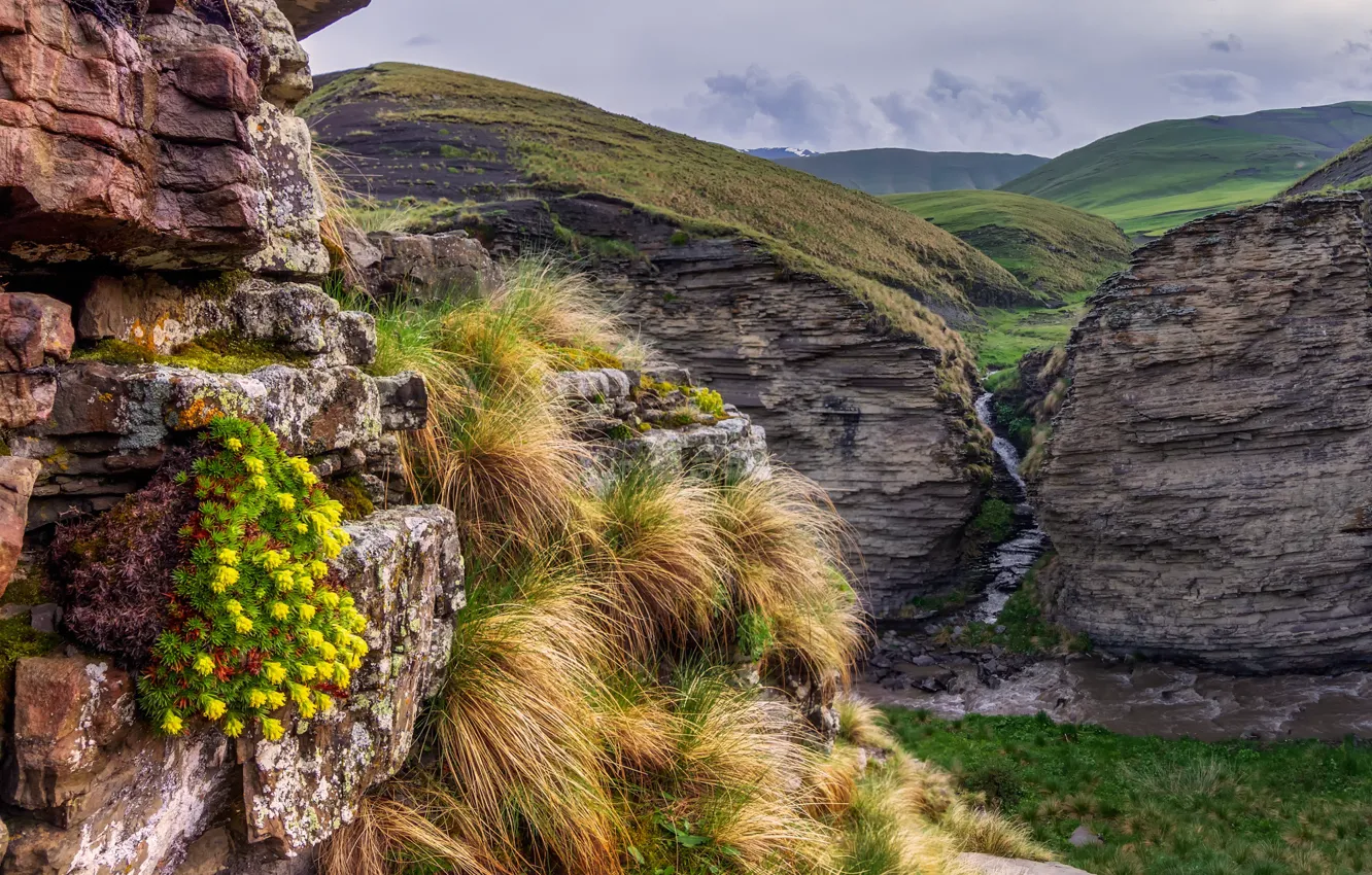 Photo wallpaper grass, landscape, mountains, nature, stream, stones, rocks, hills