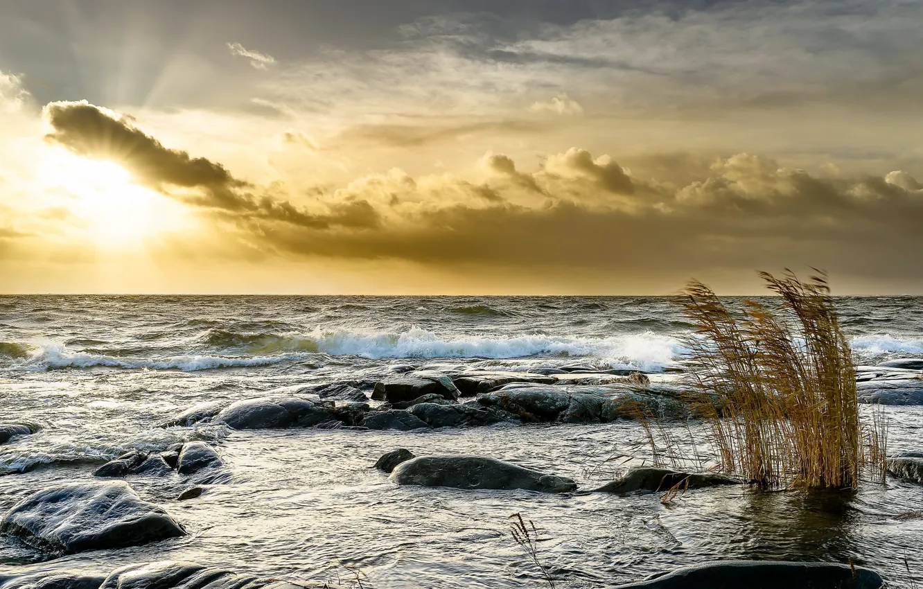 Photo wallpaper sea, light, sunset, shore