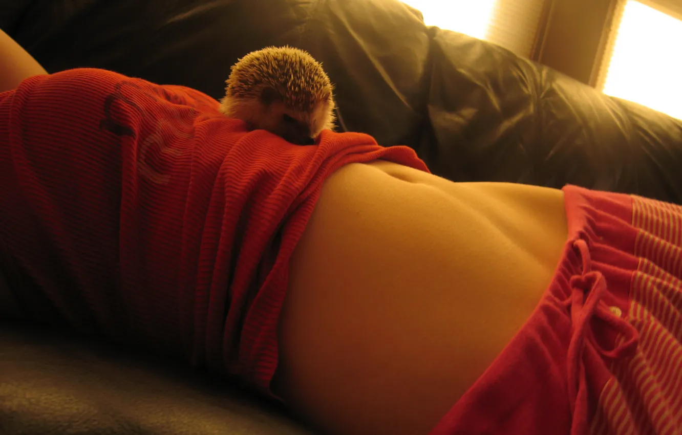 Photo wallpaper belly, window