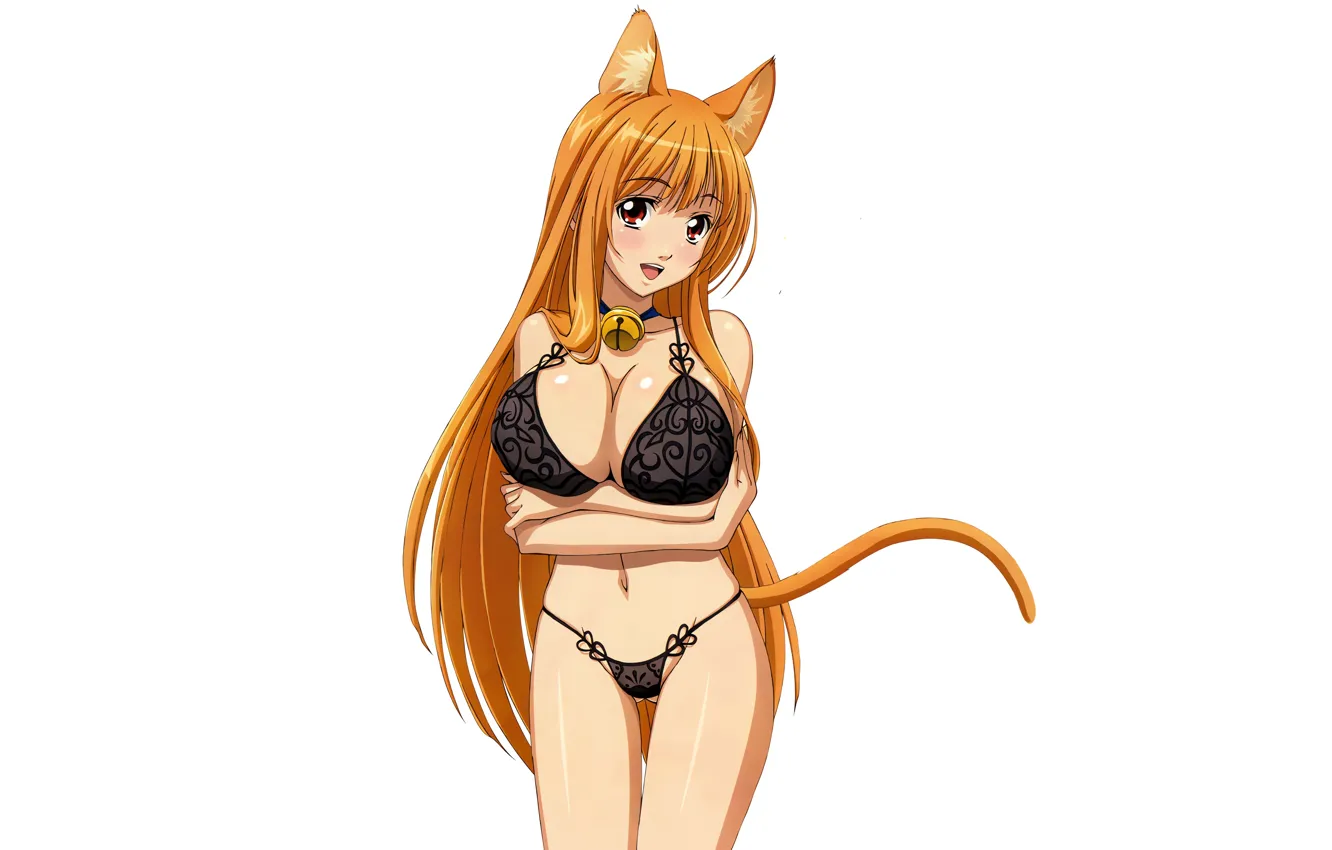 Photo wallpaper girl, sexy, lingerie, bra, cleavage, panties, long hair, boobs