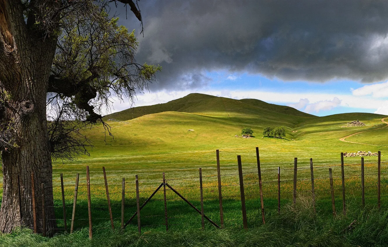 Photo wallpaper road, clouds, trees, nature, hills, the fence, meadow, panorama
