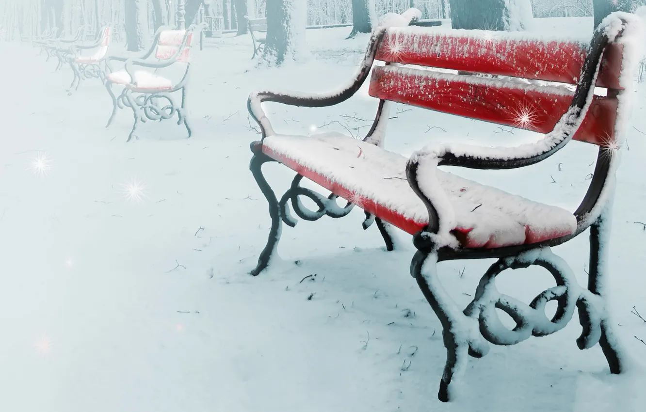 Photo wallpaper winter, snow, trees, nature, benches
