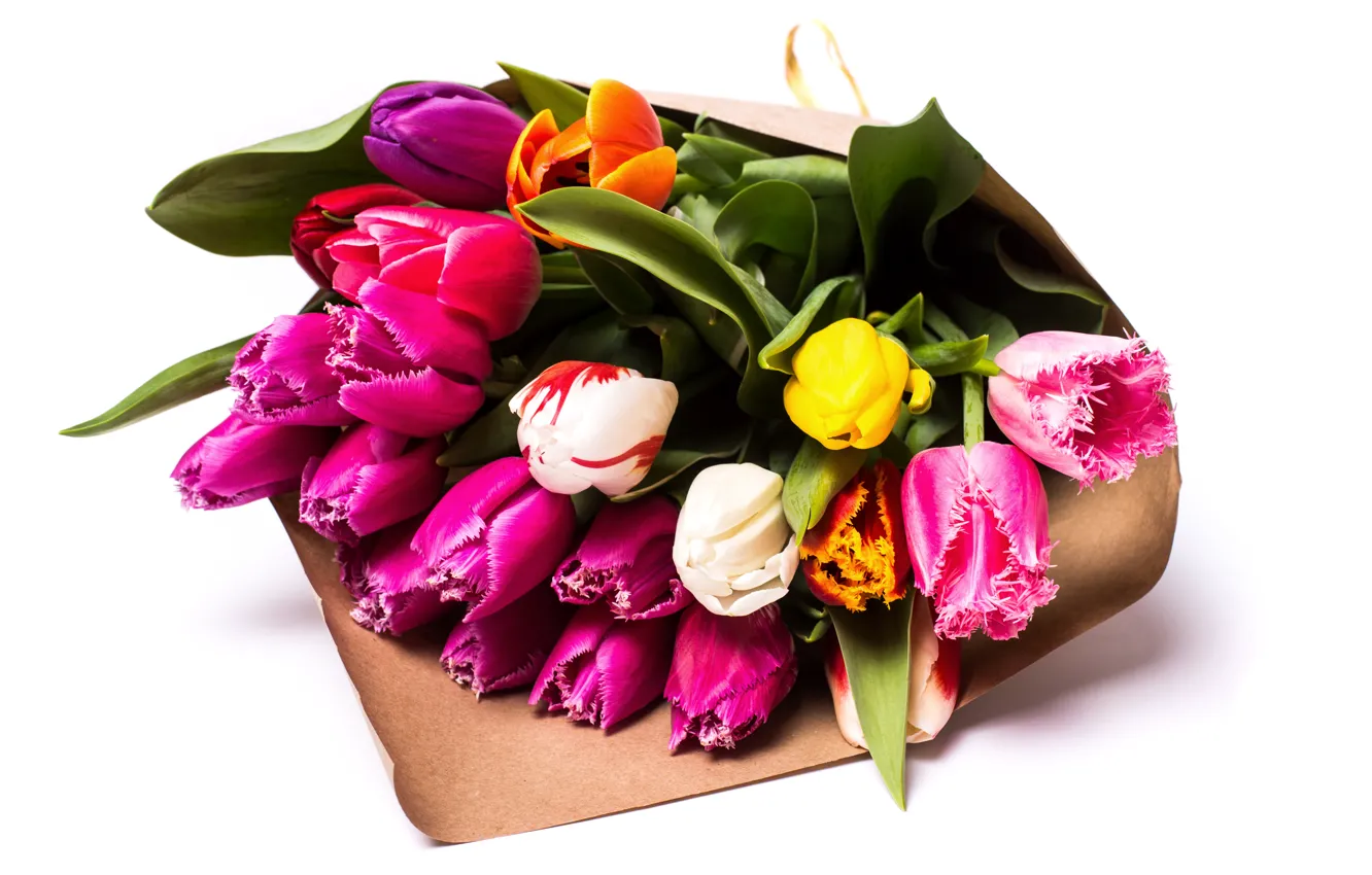 Photo wallpaper bouquet, colorful, tulips, beautiful, Tulips, Bouquets