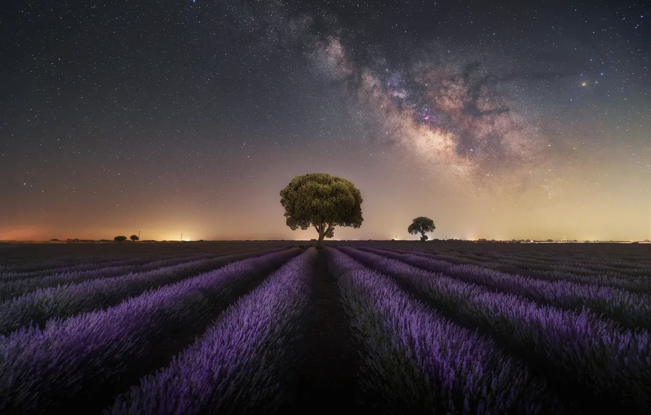 Photo wallpaper field, summer, the sky, stars, trees, flowers, night, dal
