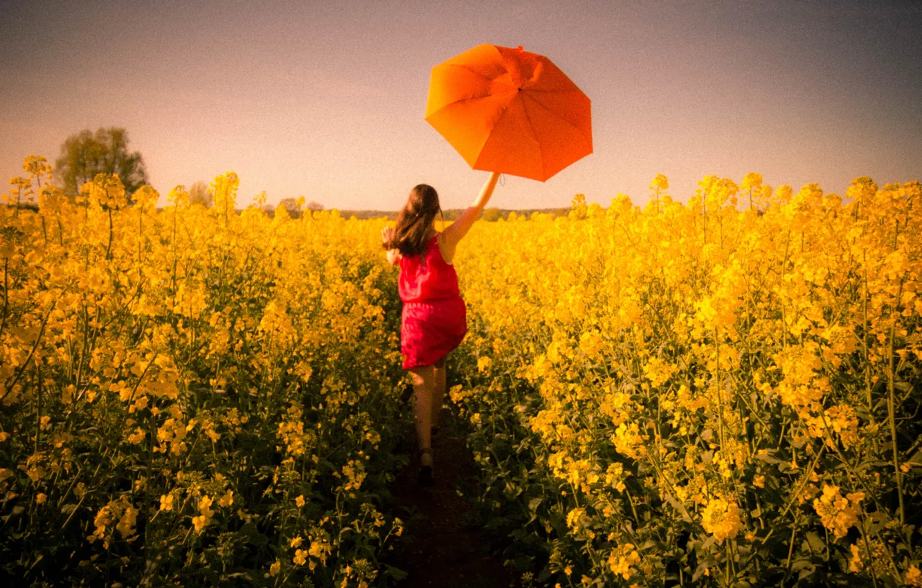 Photo wallpaper girl, umbrella, field of gold