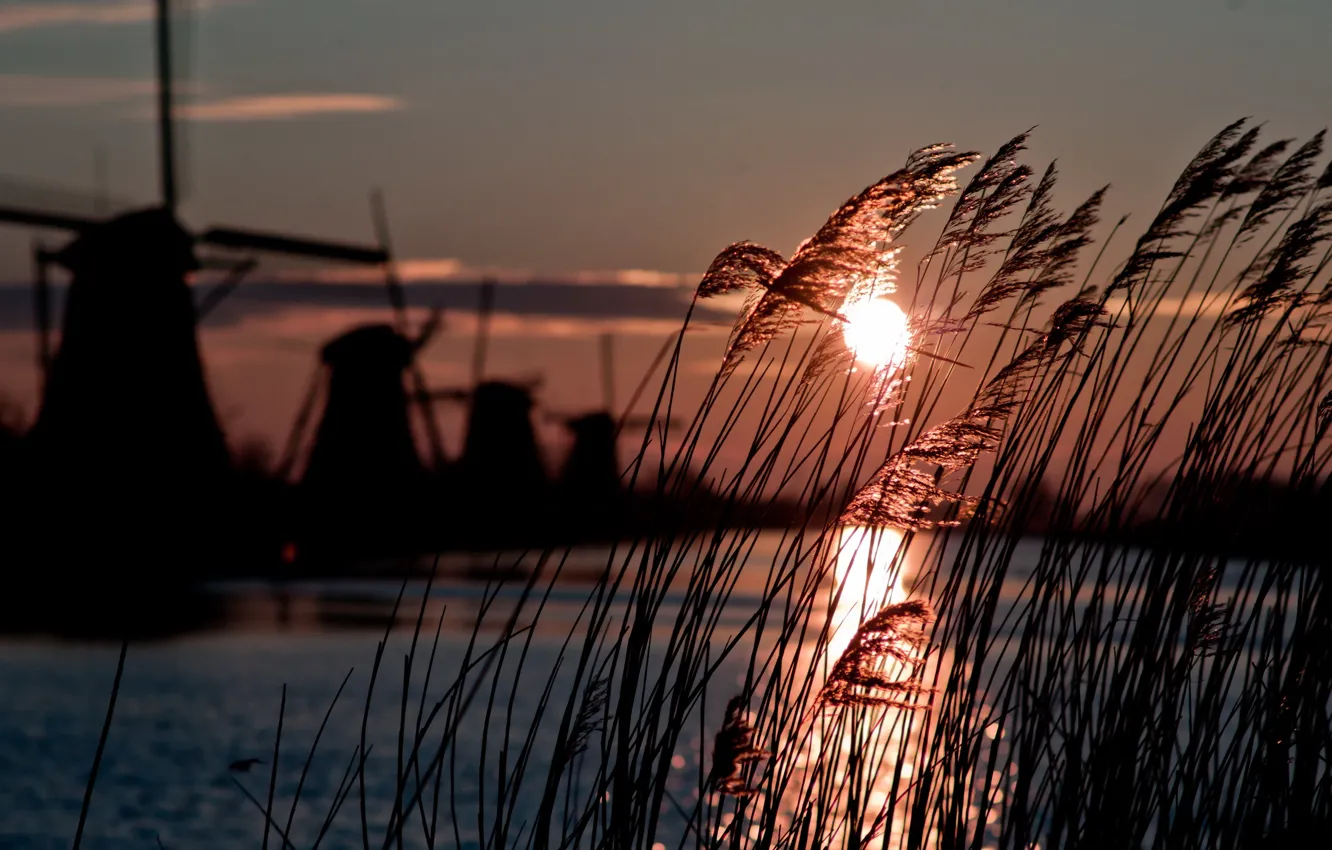 Photo wallpaper winter, sun, windmill, cold, atmosphere, holland
