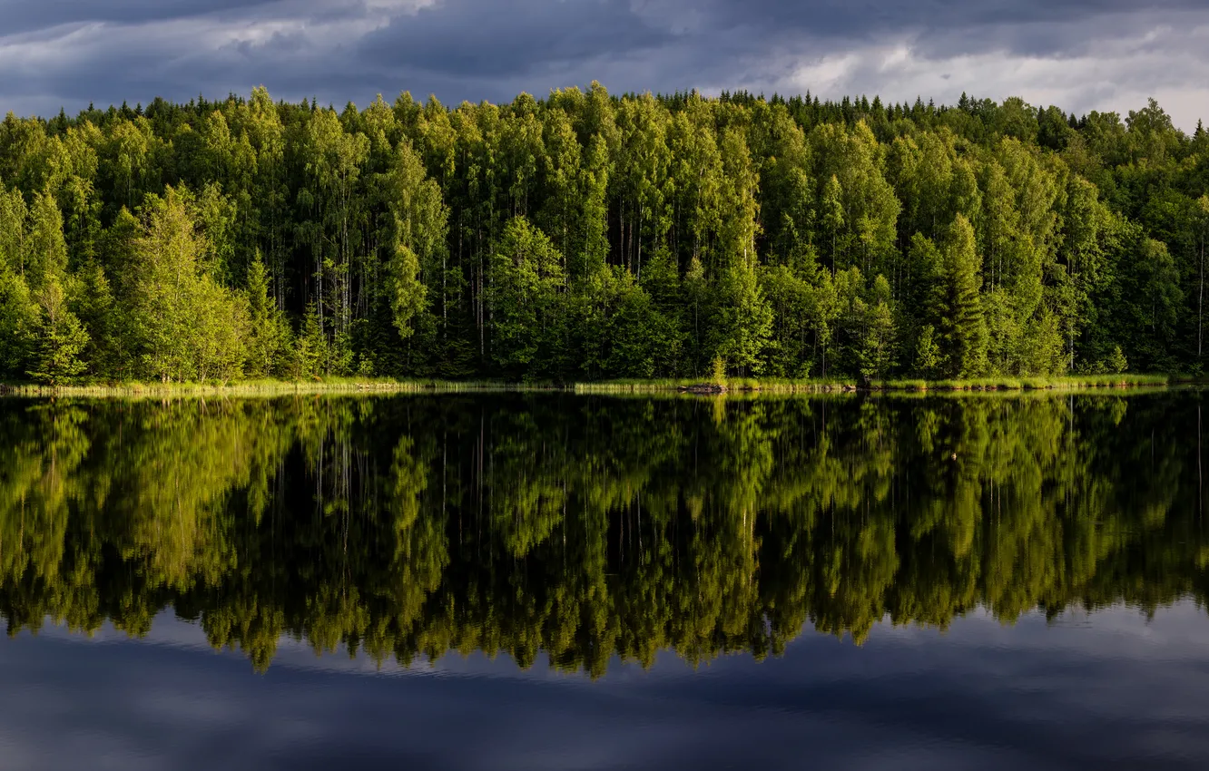 Photo wallpaper forest, reflection, river