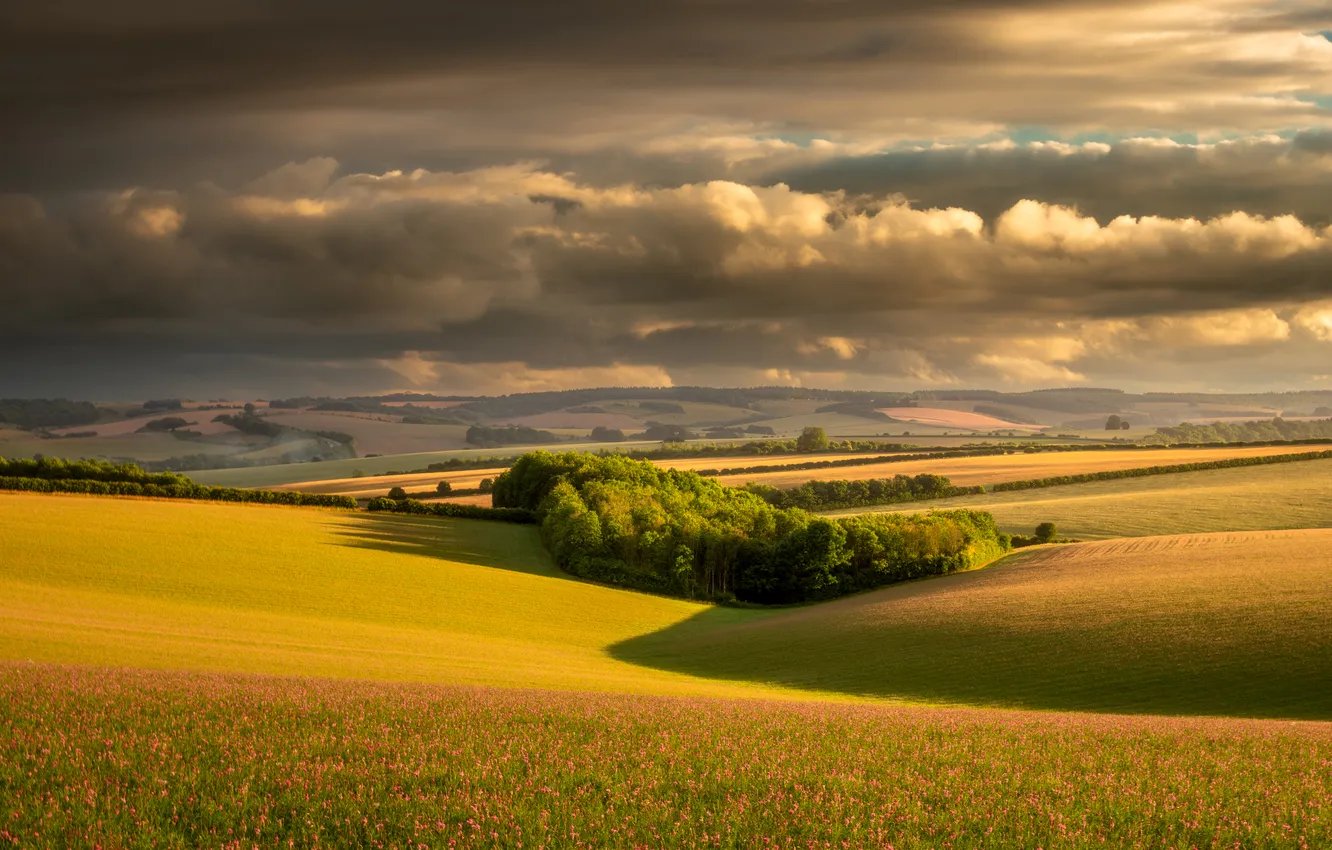 Photo wallpaper field, forest, clouds, light, clouds, hills, beauty, shadow