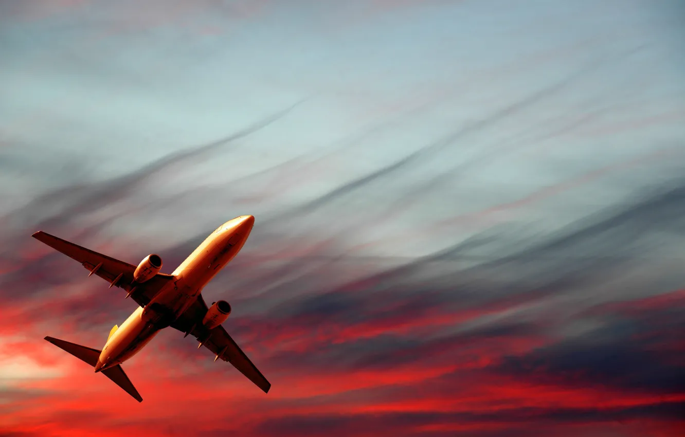 Photo wallpaper sky, aviation, Transportation, airplain