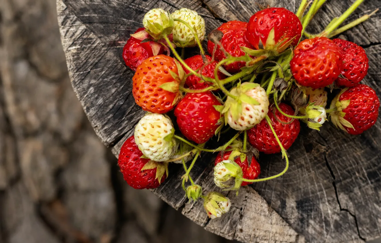 Photo wallpaper berries, stump, strawberries, strawberry, a bunch
