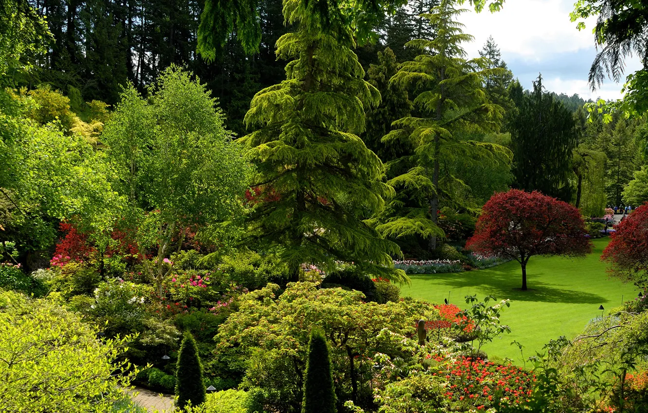 Photo wallpaper greens, grass, the sun, trees, Park, lawn, Canada, the bushes