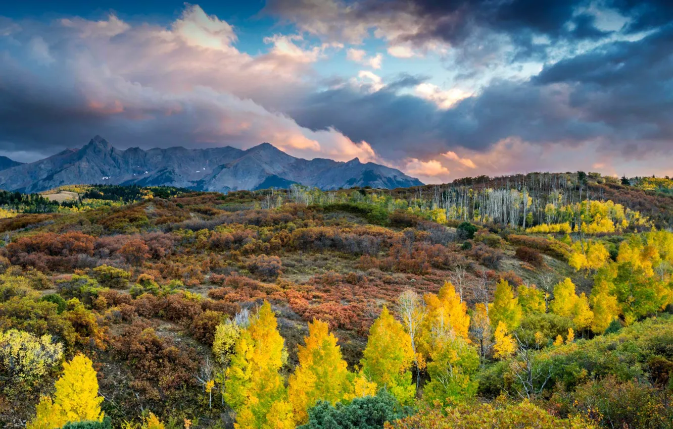 Photo wallpaper autumn, clouds, trees, mountains, Colorado, USA