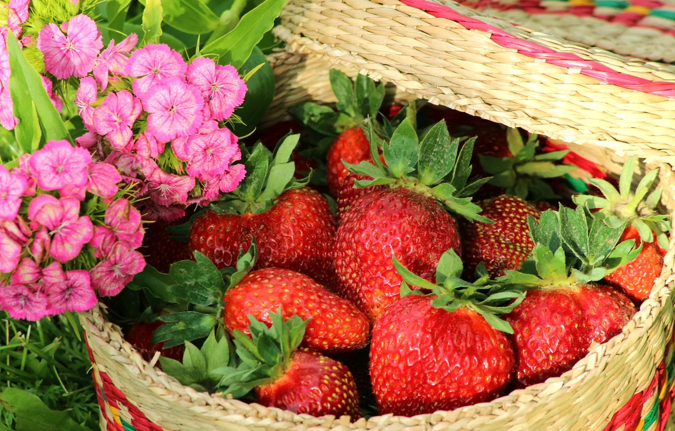Photo wallpaper grass, flowers, close-up, basket, strawberry, berry, red