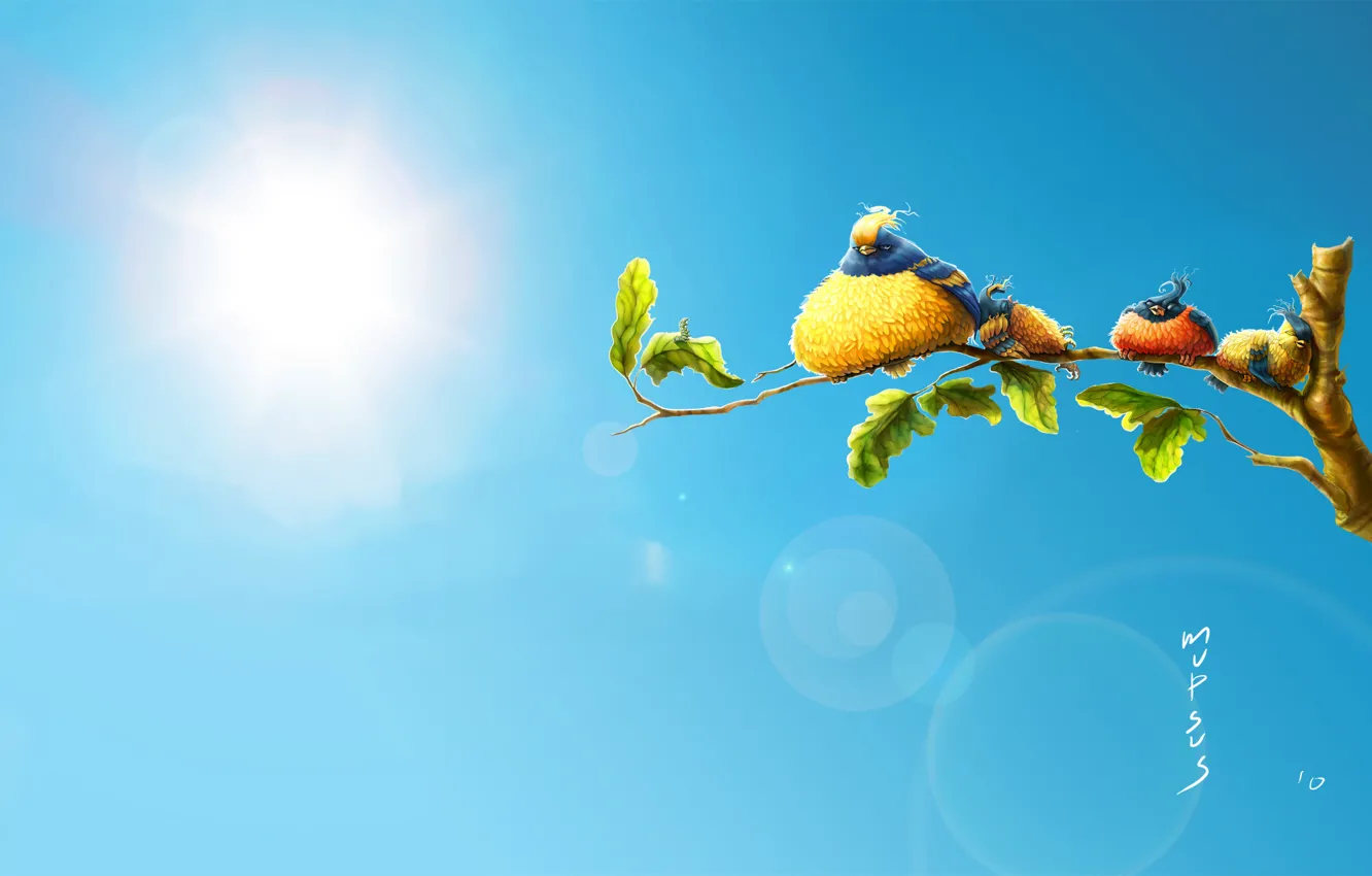 Photo wallpaper summer, heat, bird