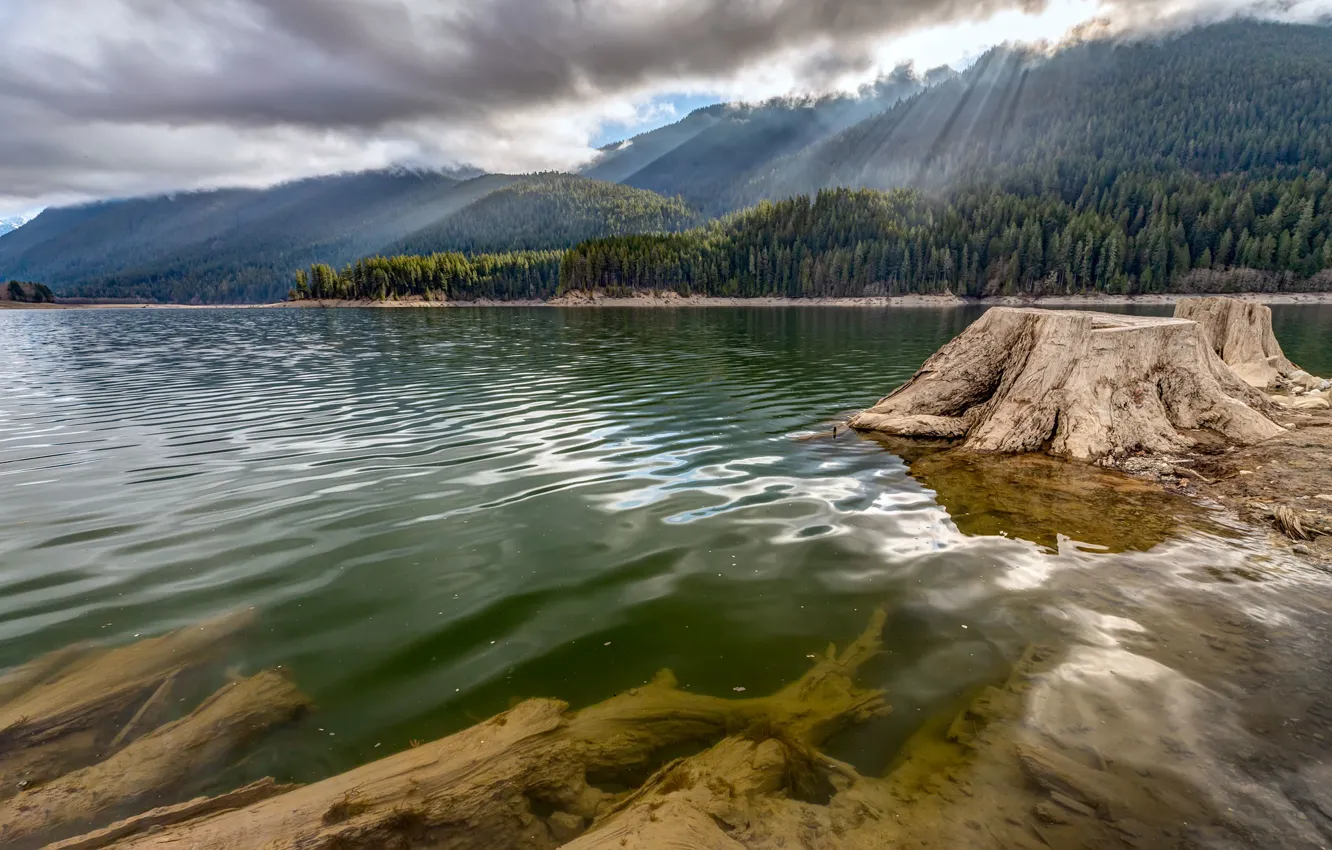 Photo wallpaper forest, the sky, nature, lake
