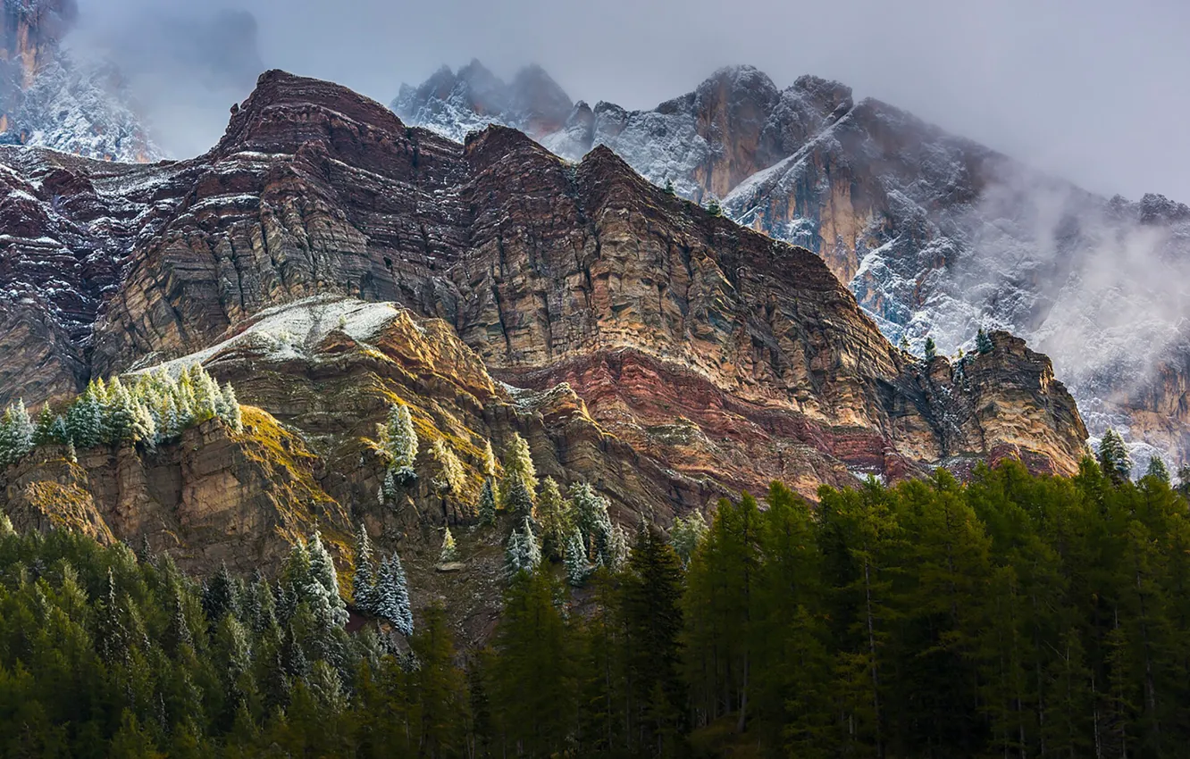 Photo wallpaper the sky, snow, trees, mountains, nature, fog, rocks, The Dolomites