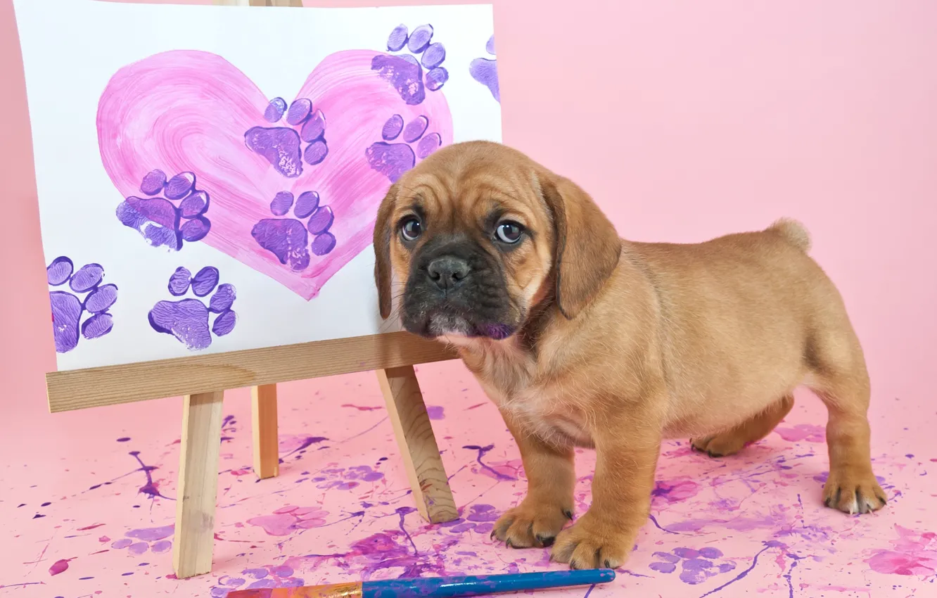 Photo wallpaper paint, picture, puppy, brush