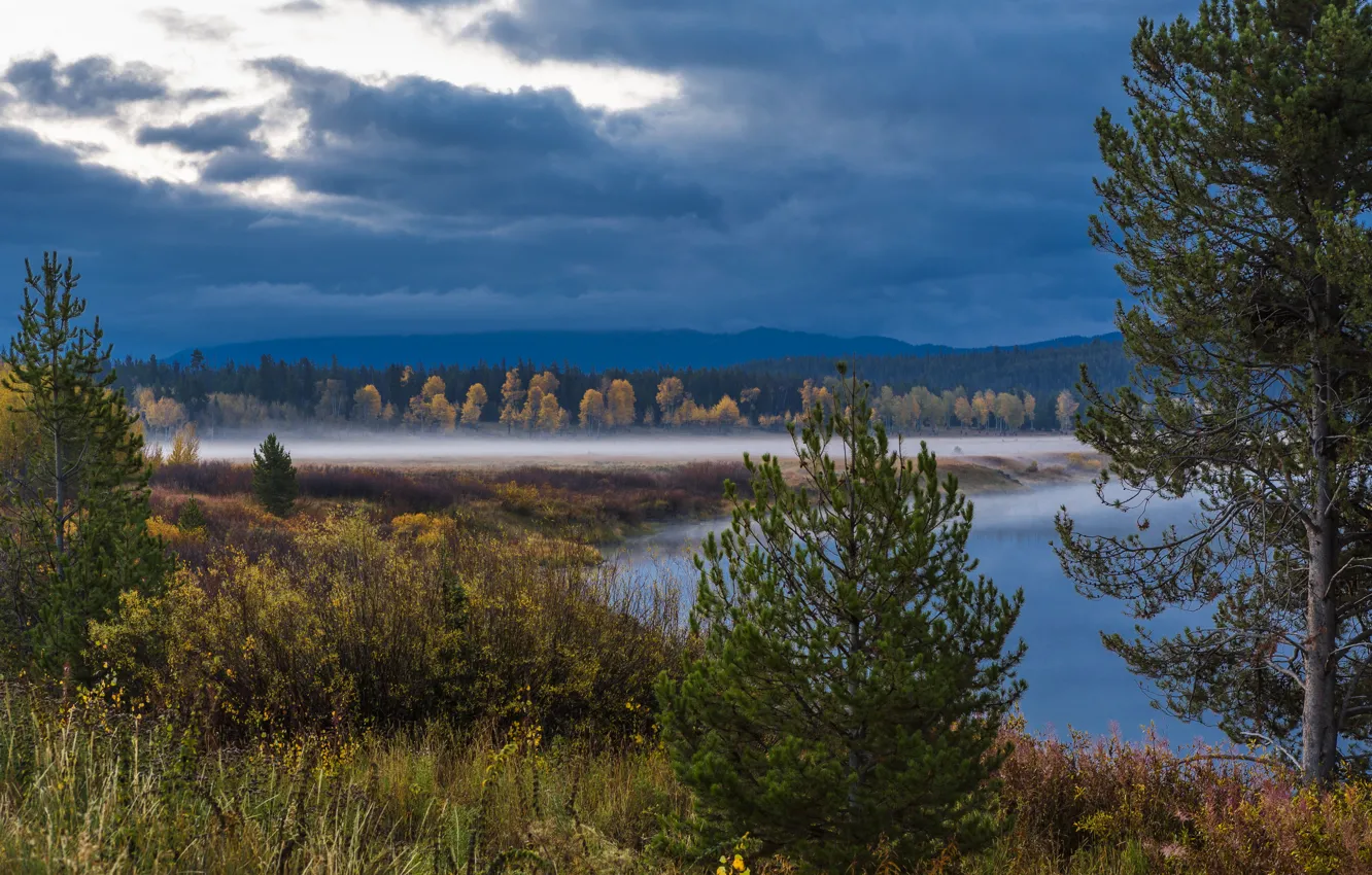 Photo wallpaper forest, trees, clouds, fog, lake, USA, Wyoming, the bushes