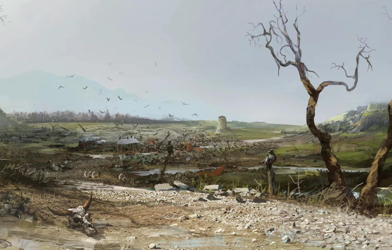 Photo wallpaper The Witcher 2: Assassins of Kings, The Witcher 2: assassins of kings, CD project, Thevideogamegallery.com