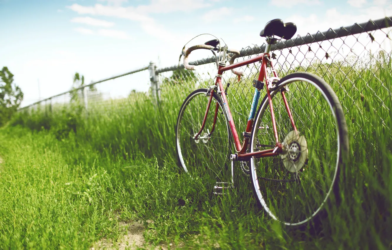 Photo wallpaper GRASS, BIKE, The FENCE, The FENCE