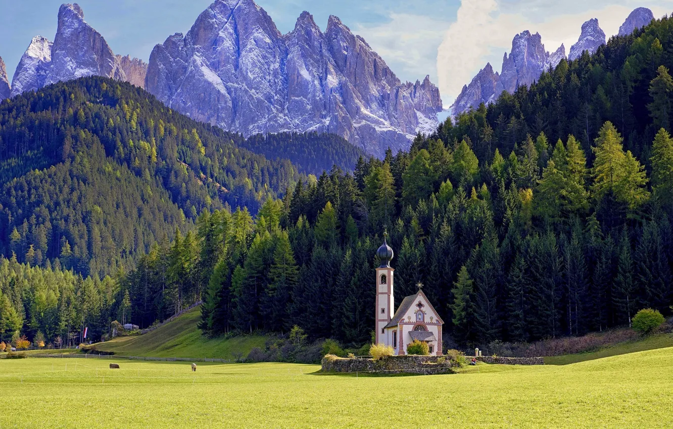 Photo wallpaper forest, mountains, meadow, Italy, Church, Italy, The Dolomites, South Tyrol