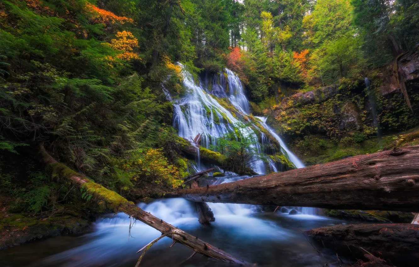 Photo wallpaper autumn, forest, trees, shore, foliage, waterfall, stream, log