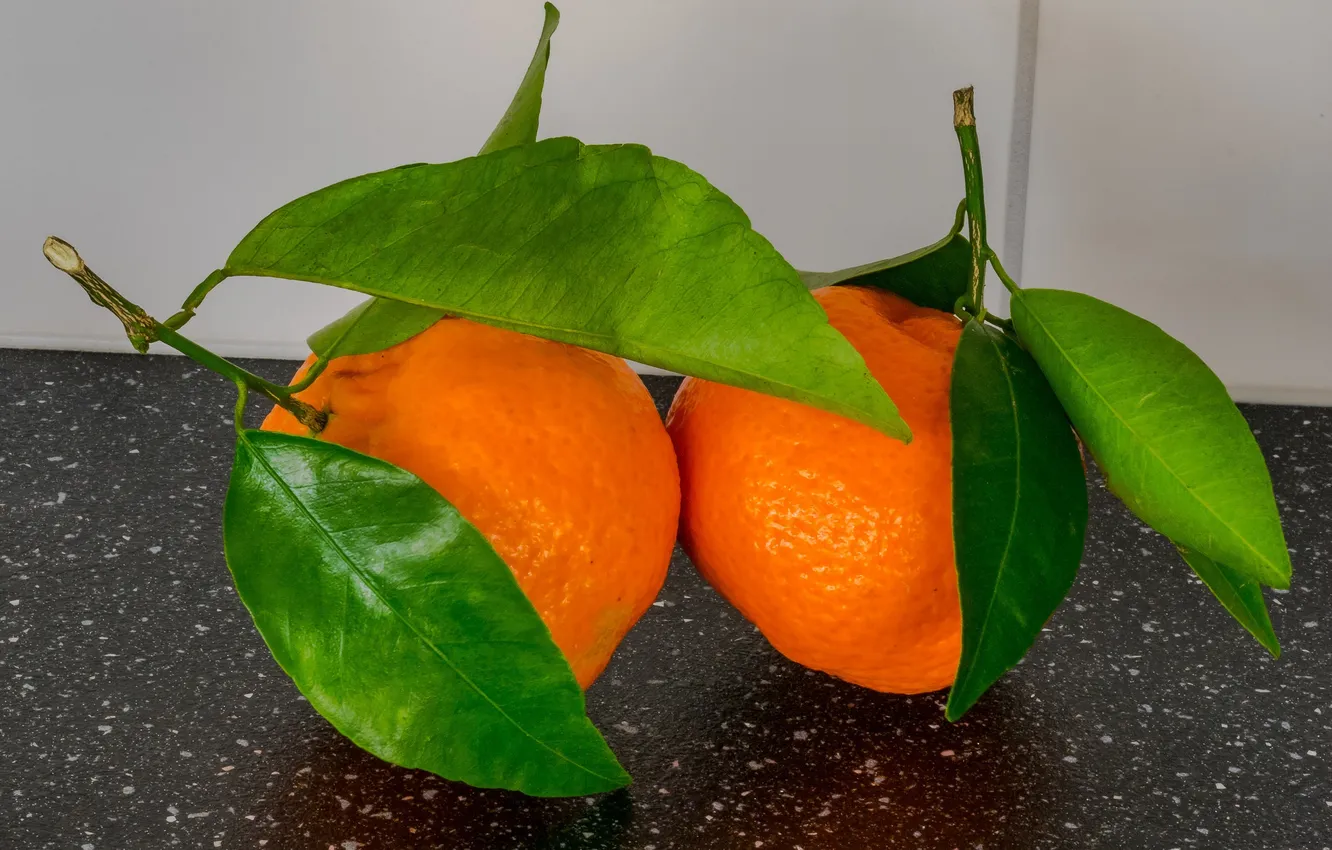Photo wallpaper leaves, fruit, citrus, tangerines