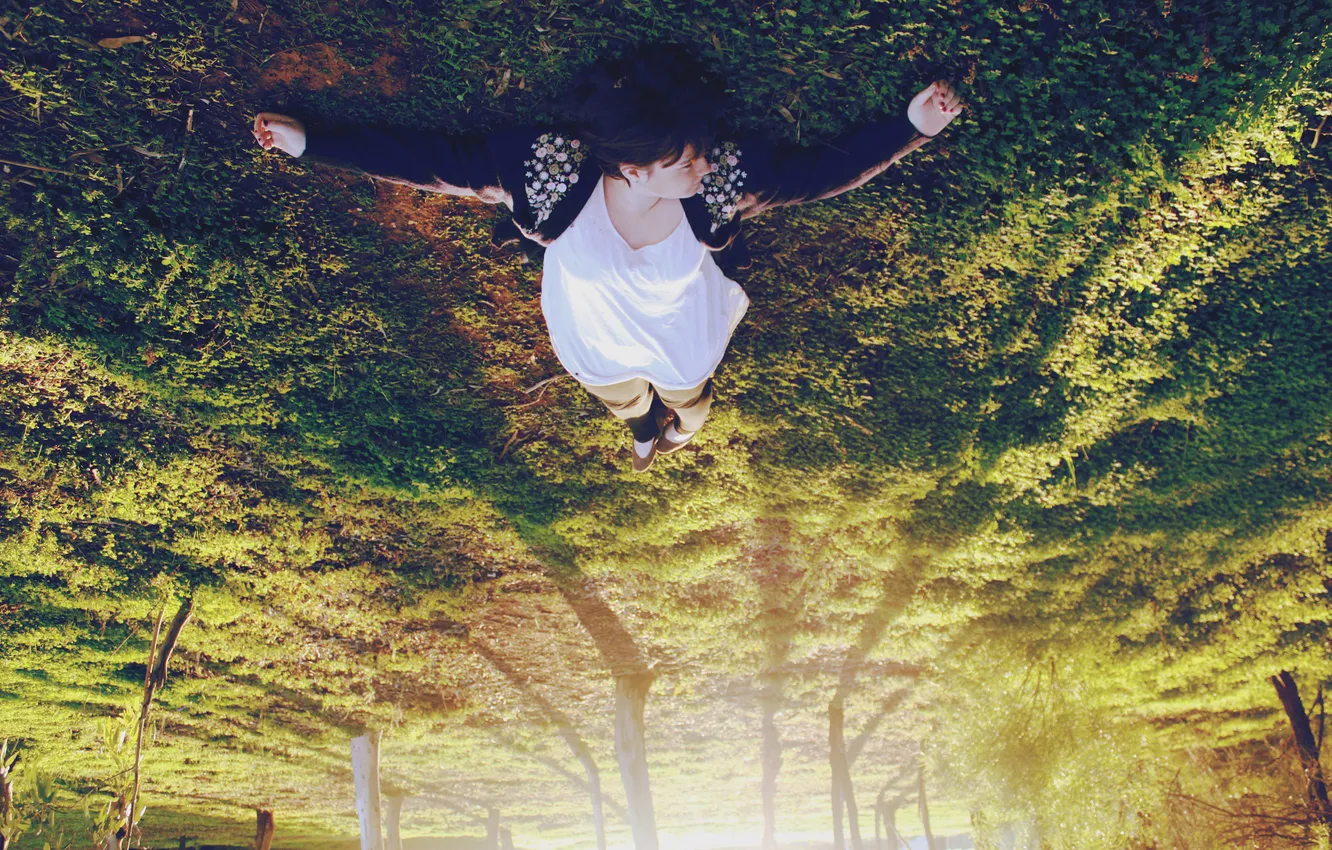 Photo wallpaper forest, grass, girl, light, trees, mood, stay