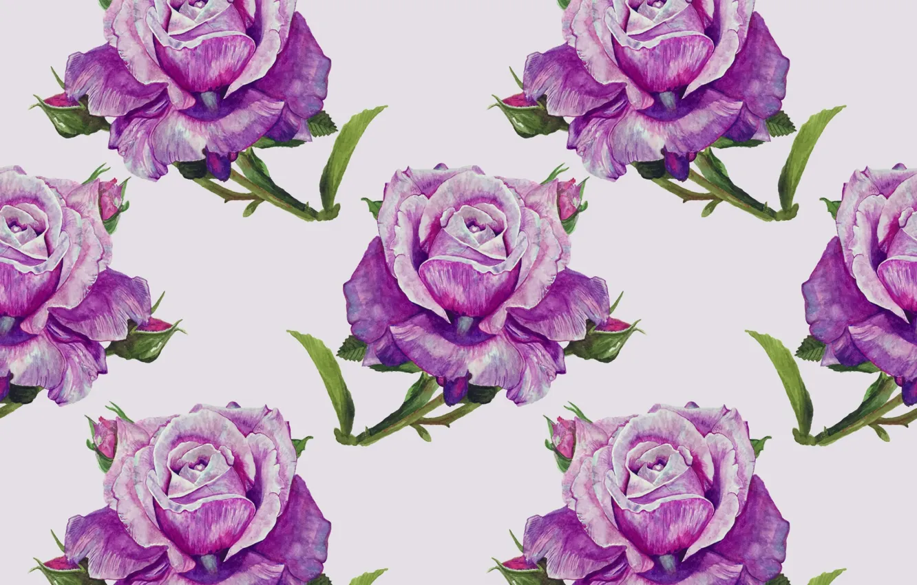 Photo wallpaper background, roses, buds