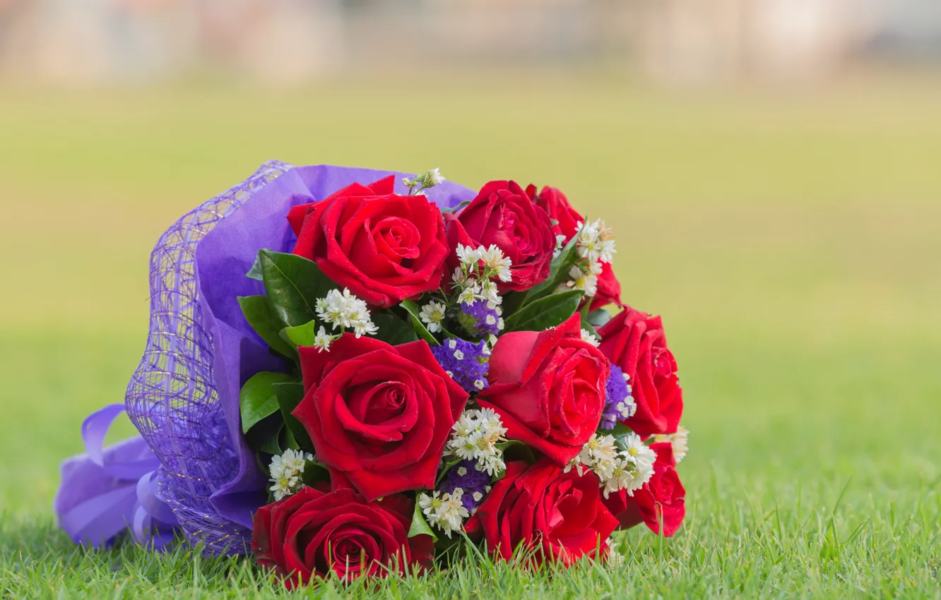 Photo wallpaper grass, flowers, roses, bouquet, red, red, flowers, bouquet