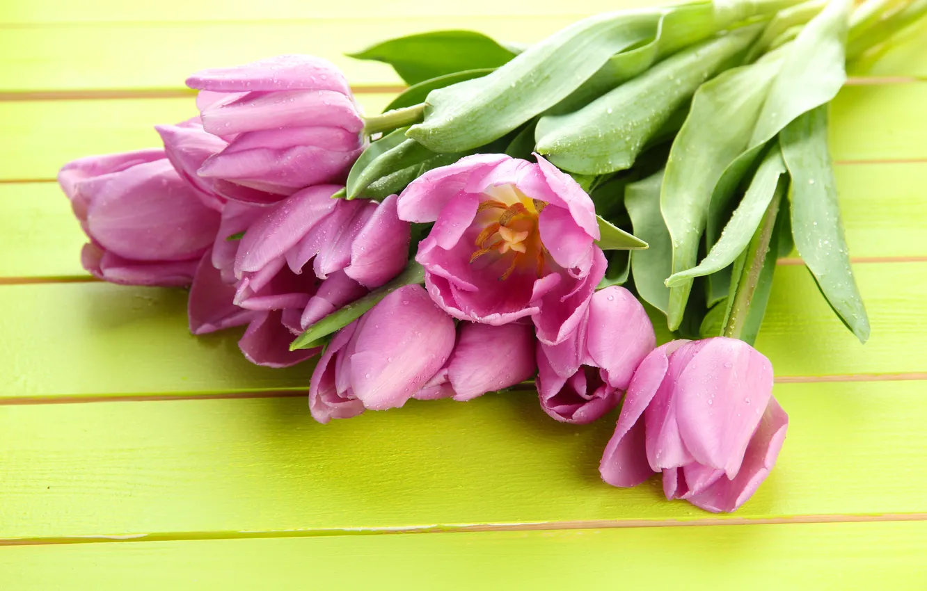 Photo wallpaper flowers, bouquet, tulips, pink, wood, pink, flowers, beautiful