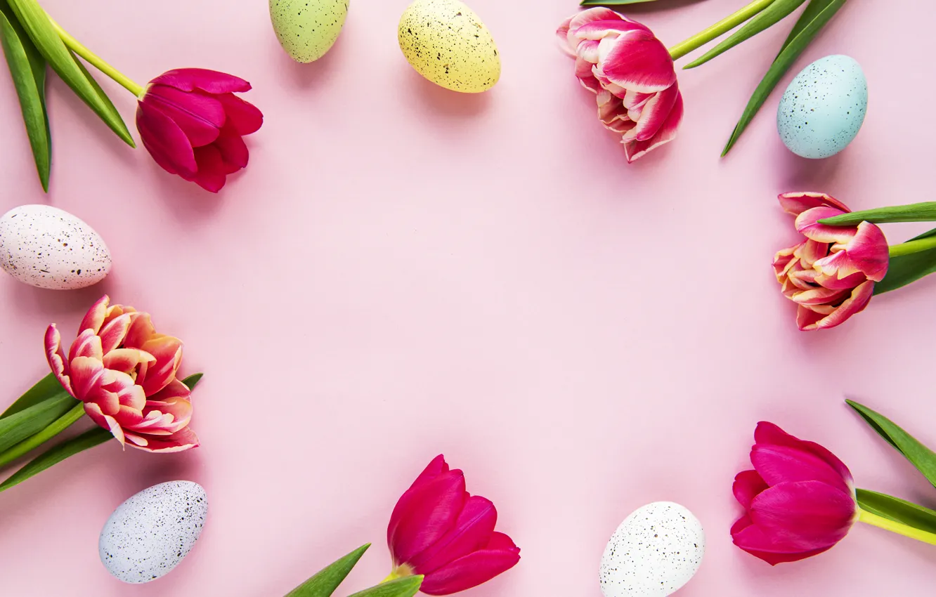 Photo wallpaper flowers, eggs, spring, colorful, Easter, tulips, pink, flowers