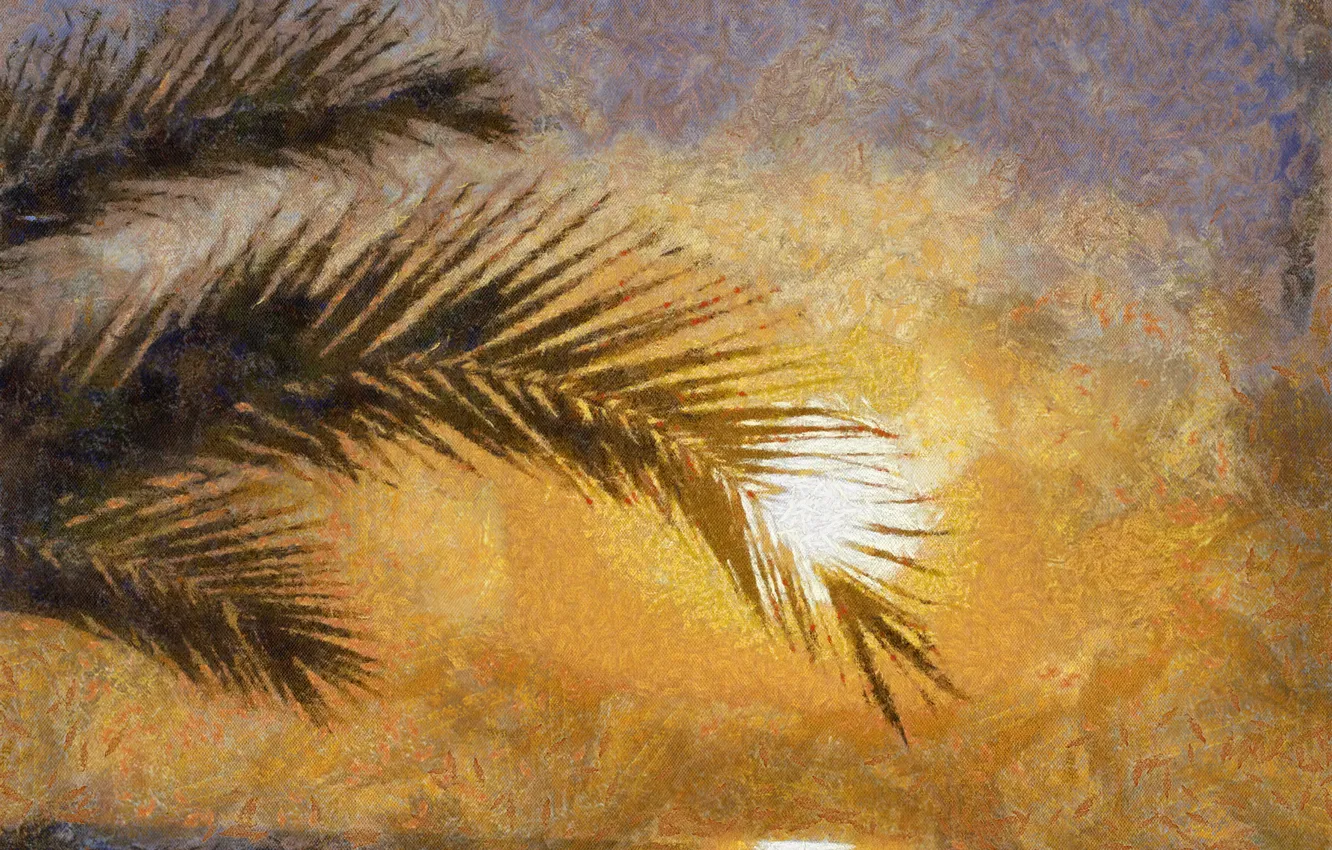 Photo wallpaper sea, the sun, sunset, Palma